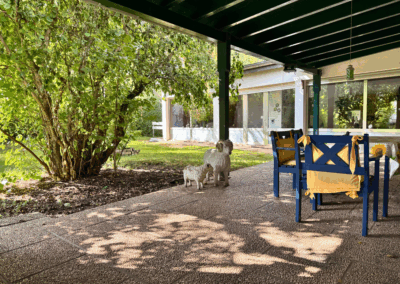 Einladende, überdachte Terrasse mit Blick ins Grüne und auf die lichtdurchflutete Fensterfront des Wohnzimmers – ideal für entspannte Stunden und stilvolles Wohnen