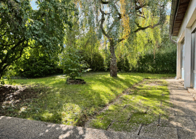 Gartenfläche direkt angrenzend an die Terrasse mit schattenspendenden Bäumen