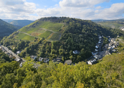 Panoramabind der Straße mit Weinbergen im Hintergrund und Oberweseler Ortskern rechts im Bild
