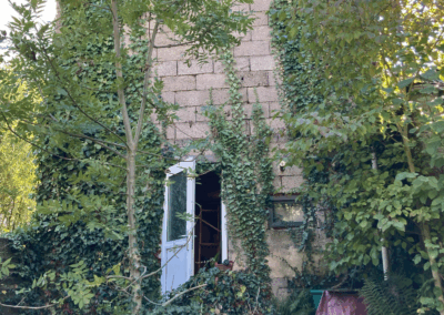 Bild der Rückseite des Anbaus vom Garten aus gesehen, mit Efeu bewachsen und Tür zum Heizungskeller