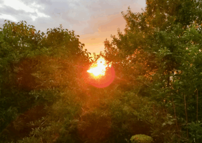 Bild eines Sonnenuntergangs von der Terrasse aus gesehen