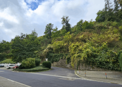 Seitlicher Blick von der Straße auf das begrünte Hanggrundstück mit Übergang ins angrenzende Naturgrundstück