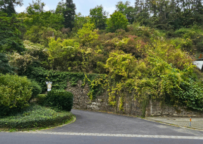 Straßenansicht des Hanggrundstücks – bewachsene Böschung mit natürlichem Bewuchs und leicht ansteigendem Gelände