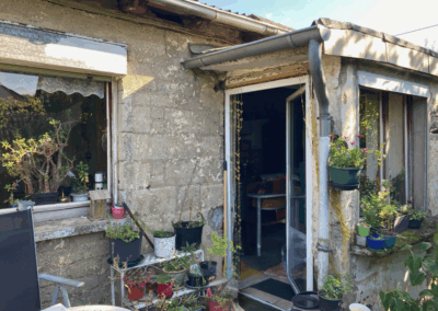 Blick von der Terrasse zur Terrassentür, Blumentöpfe auf der Terrasse und der Fensterbank im Vordergrund